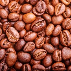 Arabica beans